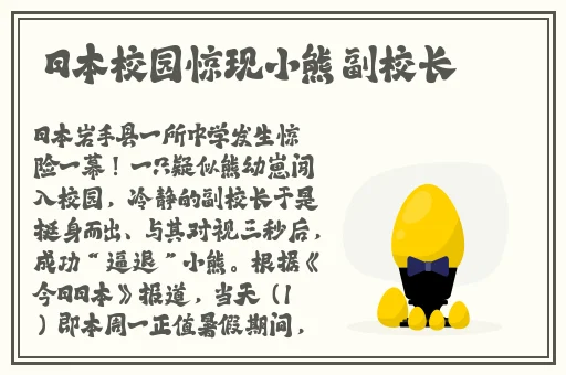 小猪视频在线ios下载